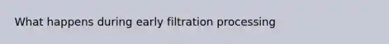 What happens during early filtration processing