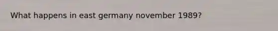 What happens in east germany november 1989?