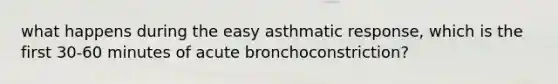 what happens during the easy asthmatic response, which is the first 30-60 minutes of acute bronchoconstriction?