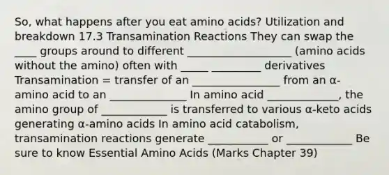 So, what happens after you eat <a href='https://www.questionai.com/knowledge/k9gb720LCl-amino-acids' class='anchor-knowledge'>amino acids</a>? Utilization and breakdown 17.3 Transamination Reactions They can swap the ____ groups around to different ___________________ (amino acids without the amino) often with _____ _________ derivatives Transamination = transfer of an ________________ from an α-amino acid to an ______________ In amino acid _____________, the amino group of ____________ is transferred to various α-keto acids generating α-amino acids In amino acid catabolism, transamination reactions generate ___________ or ____________ Be sure to know Essential Amino Acids (Marks Chapter 39)