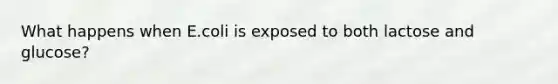 What happens when E.coli is exposed to both lactose and glucose?