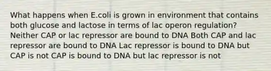 What happens when E.coli is grown in environment that contains both glucose and lactose in terms of lac operon regulation? Neither CAP or lac repressor are bound to DNA Both CAP and lac repressor are bound to DNA Lac repressor is bound to DNA but CAP is not CAP is bound to DNA but lac repressor is not