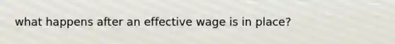 what happens after an effective wage is in place?