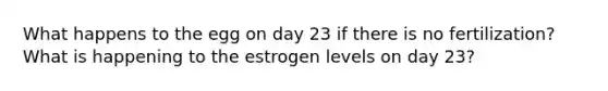 What happens to the egg on day 23 if there is no fertilization? What is happening to the estrogen levels on day 23?