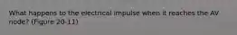 What happens to the electrical impulse when it reaches the AV node? (Figure 20-11)