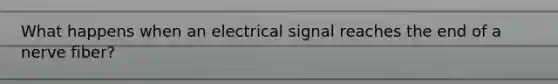 What happens when an electrical signal reaches the end of a nerve fiber?