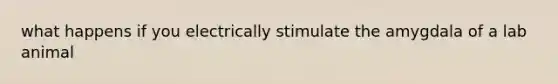 what happens if you electrically stimulate the amygdala of a lab animal