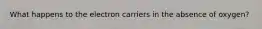 What happens to the electron carriers in the absence of oxygen?
