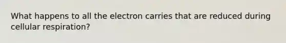 What happens to all the electron carries that are reduced during cellular respiration?