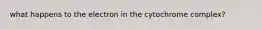 what happens to the electron in the cytochrome complex?