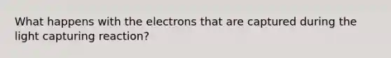 What happens with the electrons that are captured during the light capturing reaction?