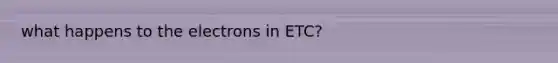 what happens to the electrons in ETC?