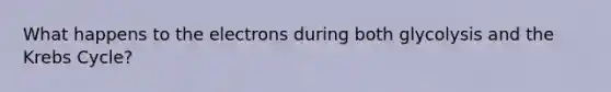 What happens to the electrons during both glycolysis and the Krebs Cycle?