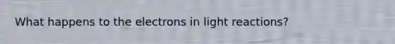 What happens to the electrons in light reactions?