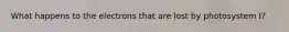 What happens to the electrons that are lost by photosystem I?