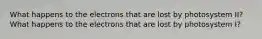 What happens to the electrons that are lost by photosystem II? What happens to the electrons that are lost by photosystem I?