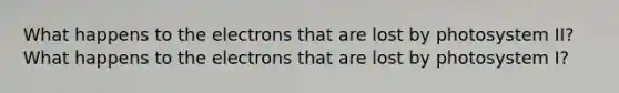 What happens to the electrons that are lost by photosystem II? What happens to the electrons that are lost by photosystem I?
