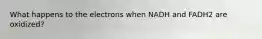 What happens to the electrons when NADH and FADH2 are oxidized?