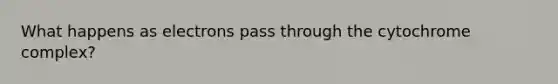 What happens as electrons pass through the cytochrome complex?