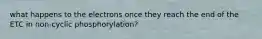 what happens to the electrons once they reach the end of the ETC in non-cyclic phosphorylation?