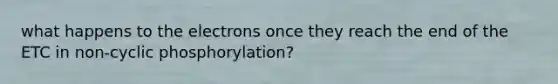 what happens to the electrons once they reach the end of the ETC in non-cyclic phosphorylation?