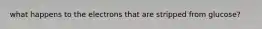 what happens to the electrons that are stripped from glucose?