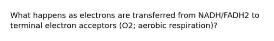 What happens as electrons are transferred from NADH/FADH2 to terminal electron acceptors (O2; aerobic respiration)?