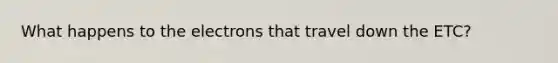 What happens to the electrons that travel down the ETC?