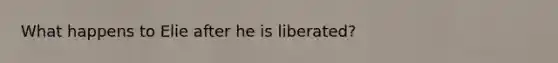 What happens to Elie after he is liberated?