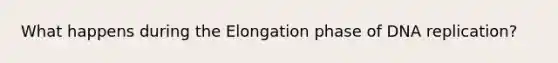 What happens during the Elongation phase of DNA replication?