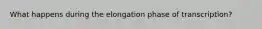 What happens during the elongation phase of transcription?