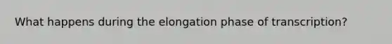 What happens during the elongation phase of transcription?