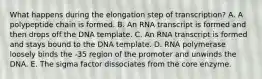 What happens during the elongation step of transcription? A. A polypeptide chain is formed. B. An RNA transcript is formed and then drops off the DNA template. C. An RNA transcript is formed and stays bound to the DNA template. D. RNA polymerase loosely binds the -35 region of the promoter and unwinds the DNA. E. The sigma factor dissociates from the core enzyme.