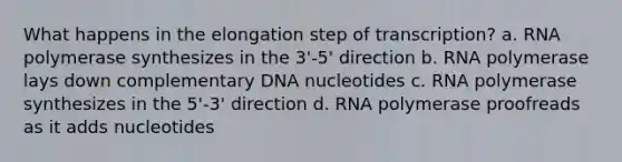 What happens in the elongation step of transcription? a. RNA polymerase synthesizes in the 3'-5' direction b. RNA polymerase lays down complementary DNA nucleotides c. RNA polymerase synthesizes in the 5'-3' direction d. RNA polymerase proofreads as it adds nucleotides