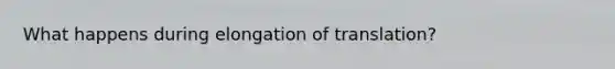 What happens during elongation of translation?