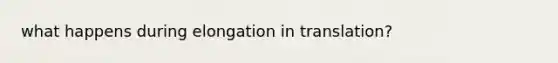 what happens during elongation in translation?