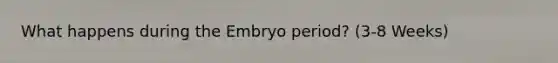 What happens during the Embryo period? (3-8 Weeks)