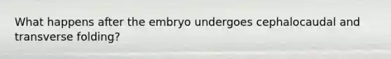 What happens after the embryo undergoes cephalocaudal and transverse folding?