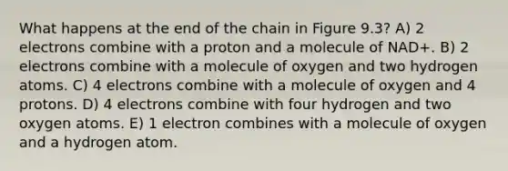 What happens at the end of the chain in Figure 9.3? A) 2 electrons combine with a proton and a molecule of NAD+. B) 2 electrons combine with a molecule of oxygen and two hydrogen atoms. C) 4 electrons combine with a molecule of oxygen and 4 protons. D) 4 electrons combine with four hydrogen and two oxygen atoms. E) 1 electron combines with a molecule of oxygen and a hydrogen atom.