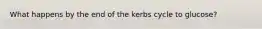 What happens by the end of the kerbs cycle to glucose?