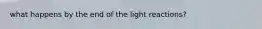 what happens by the end of the light reactions?