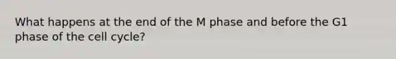 What happens at the end of the M phase and before the G1 phase of the cell cycle?