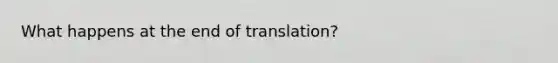 What happens at the end of translation?