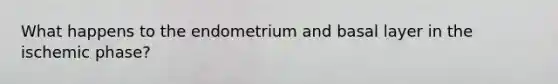 What happens to the endometrium and basal layer in the ischemic phase?