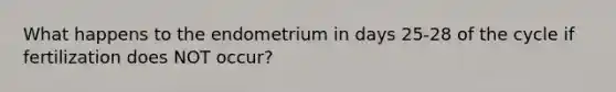 What happens to the endometrium in days 25-28 of the cycle if fertilization does NOT occur?