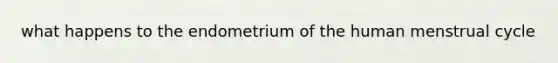 what happens to the endometrium of the human menstrual cycle