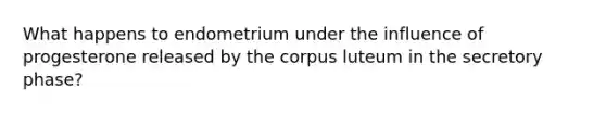 What happens to endometrium under the influence of progesterone released by the corpus luteum in the secretory phase?