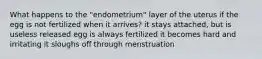 What happens to the "endometrium" layer of the uterus if the egg is not fertilized when it arrives? it stays attached, but is useless released egg is always fertilized it becomes hard and irritating it sloughs off through menstruation