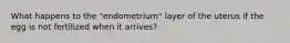 What happens to the "endometrium" layer of the uterus if the egg is not fertilized when it arrives?