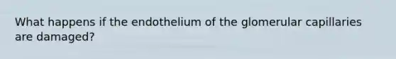 What happens if the endothelium of the glomerular capillaries are damaged?